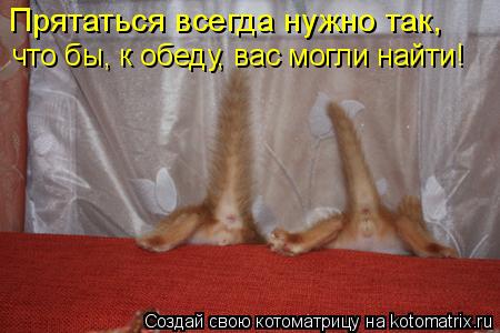 Прятаться всегда нужно так, что бы, к обеду, вас могли найти!... Котоматрица: Прятаться всегда нужно так, что бы, к обеду, вас могли найти!