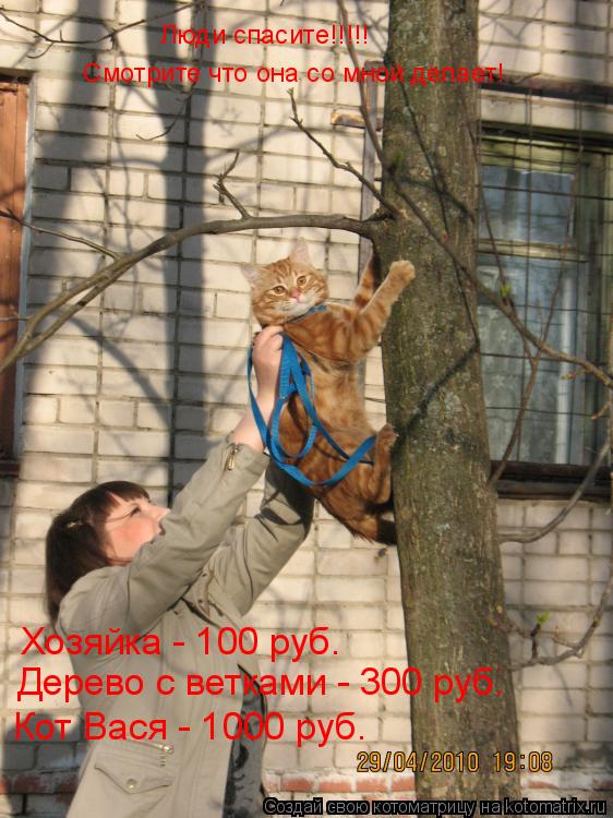 Люди спасите!!!!! Смотрите что она со мной делает! Хозяйка - 100 руб. Дерево с ветками - 300 руб. К... Котоматрица: Люди спасите!!!!! Смотрите что она со мной делает! Хозяйка - 100 руб. Дерево с ветками - 300 руб. Кот Вася - 1000 руб.