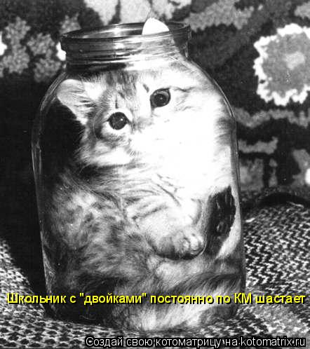Школьник с "двойками" постоянно по КМ шастает... Котоматрица: Школьник с "двойками" постоянно по КМ шастает