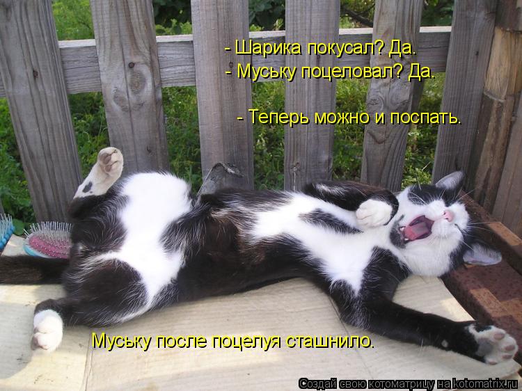 - Шарика покусал? Да. - Муську поцеловал? Да. - Шарика покусал? Да. - Теперь можно и поспать. Муську... Котоматрица: - Шарика покусал? Да. - Муську поцеловал? Да. - Шарика покусал? Да. - Теперь можно и поспать. Муську после поцелуя сташнило.