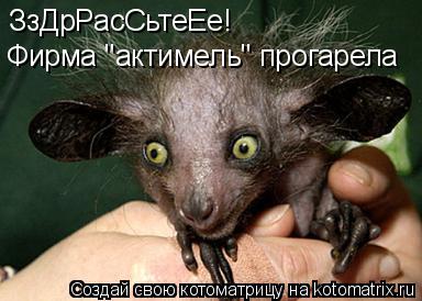 ЗзДрРасСьтеЕе! Фирма "актимель" прогарела... Котоматрица: ЗзДрРасСьтеЕе! Фирма "актимель" прогарела
