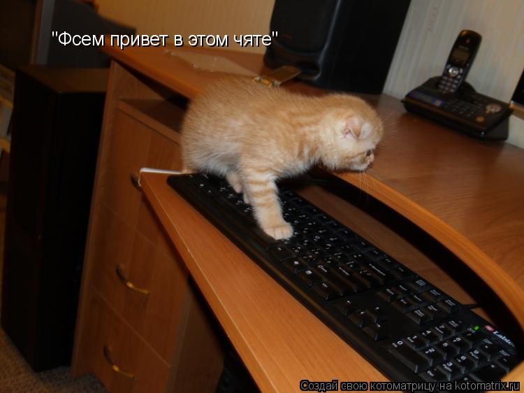 Котоматрица: "Фсем привет в этом чяте"