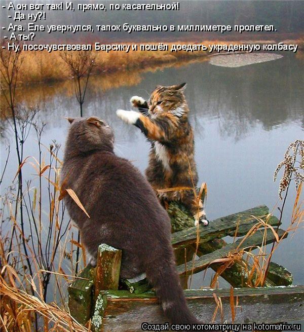 - А он вот так! И, прямо, по касательной! - Ага. Еле увернулся, тапок буквально в миллиметре пролетел... Котоматрица: - А он вот так! И, прямо, по касательной! - Ага. Еле увернулся, тапок буквально в миллиметре пролетел. - Да ну?! - А ты? - Ну, посочувствовал Барсику
