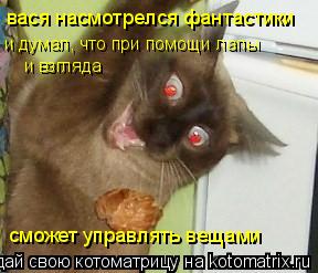 Котоматрица: вася насмотрелся фантастики и взгляда и думал, что при помощи лапы сможет управлять вещами