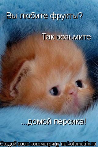Котоматрица: Вы любите фрукты? Так возьмите  ...домой персика!