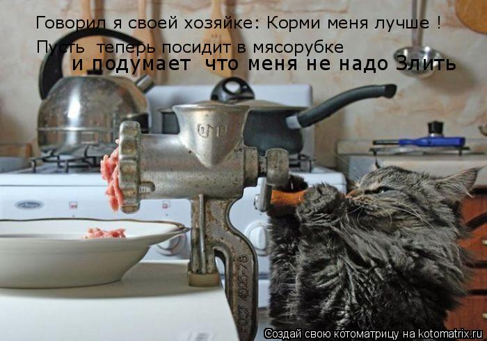 Говорил я своей хозяйке: Корми меня лучше ! Пусть теперь посидит в мясорубке и подумает что меня... Котоматрица: Говорил я своей хозяйке: Корми меня лучше ! Пусть теперь посидит в мясорубке и подумает что меня не надо Злить