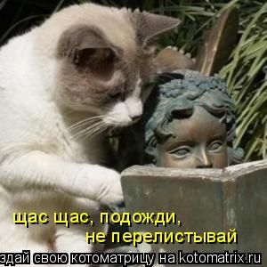 щас щас, подожди, не перелистывай... Котоматрица: щас щас, подожди, не перелистывай