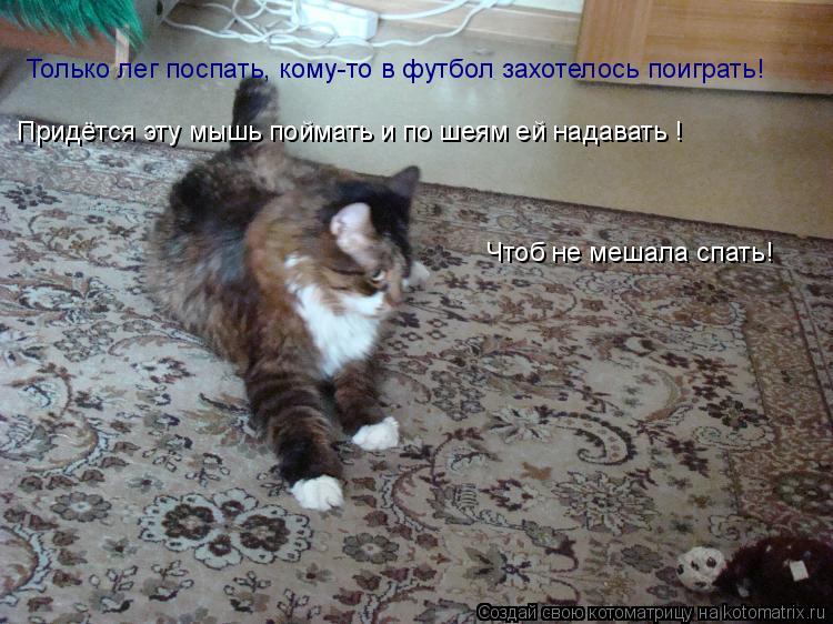 Только лег поспать, кому-то в футбол захотелось поиграть! Придётся эту мышь поймать и по шеям ей нада... Котоматрица: Только лег поспать, кому-то в футбол захотелось поиграть! Придётся эту мышь поймать и по шеям ей надавать ! Чтоб не мешала спать!