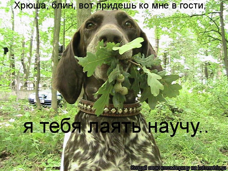 Хрюша, блин, вот придешь ко мне в гости, я тебя лаять научу..... Котоматрица: Хрюша, блин, вот придешь ко мне в гости, я тебя лаять научу..