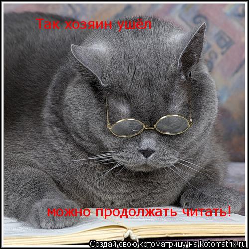 Котоматрица: Так хозяин ушёл можно продолжать читать!