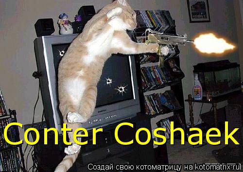 Conter Coshaek... Котоматрица: Conter Coshaek