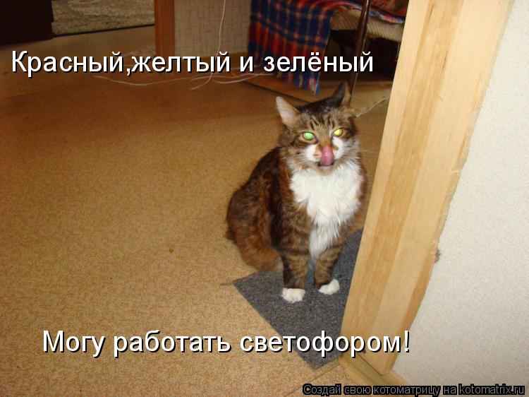 Красный,желтый и зелёный Могу работать светофором!... Котоматрица: Красный,желтый и зелёный Могу работать светофором!