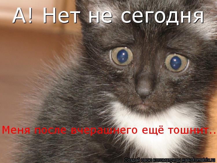 А! Нет не сегодня Меня после вчерашнего ещё тошнит...... Котоматрица: А! Нет не сегодня Меня после вчерашнего ещё тошнит...