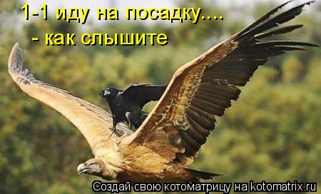 1-1 иду на посадку.... - как слышите... Котоматрица: 1-1 иду на посадку.... - как слышите