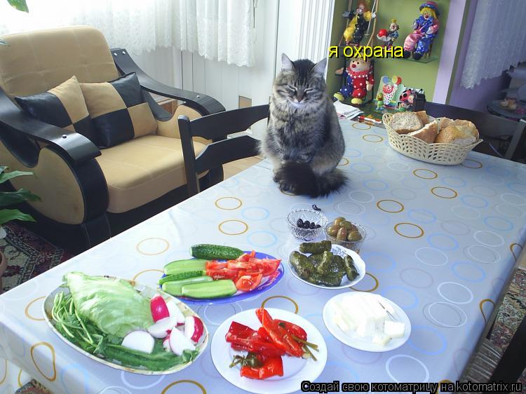 я охрана... Котоматрица: я охрана