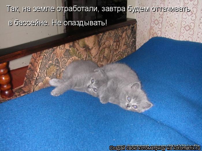 Так, на земле отработали, завтра будем оттачивать в бассейне. Не опаздывать!... Котоматрица: Так, на земле отработали, завтра будем оттачивать в бассейне. Не опаздывать!