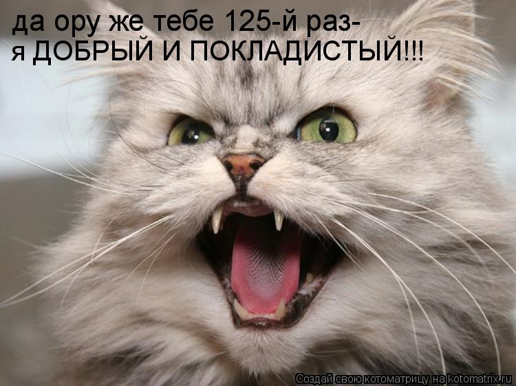 да ору же тебе 125-й раз- я ДОБРЫЙ И ПОКЛАДИСТЫЙ!!!... Котоматрица: да ору же тебе 125-й раз- я ДОБРЫЙ И ПОКЛАДИСТЫЙ!!!