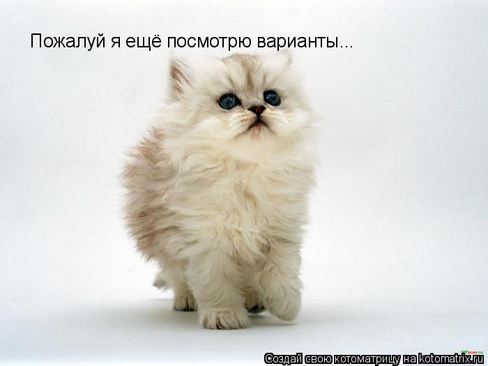 Пожалуй я ещё посмотрю варианты...... Котоматрица: Пожалуй я ещё посмотрю варианты...