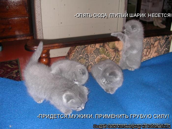 -ОПЯТЬ СЮДА ГЛУПЫЙ ШАРИК НЕСЕТСЯ! -ПРИДЕТСЯ,МУЖИКИ, ПРИМЕНИТЬ ГРУБУЮ СИЛУ!... Котоматрица: -ОПЯТЬ СЮДА ГЛУПЫЙ ШАРИК НЕСЕТСЯ! -ПРИДЕТСЯ,МУЖИКИ, ПРИМЕНИТЬ ГРУБУЮ СИЛУ!