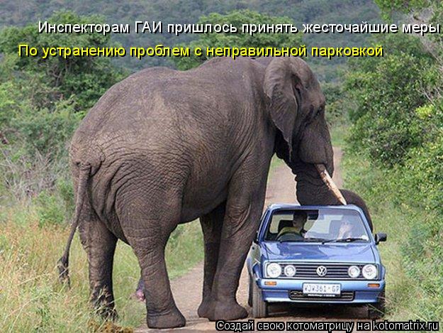 Инспекторам ГАИ пришлось принять жесточайшие меры По устранению проблем с неправильной парковкой... Котоматрица: Инспекторам ГАИ пришлось принять жесточайшие меры По устранению проблем с неправильной парковкой