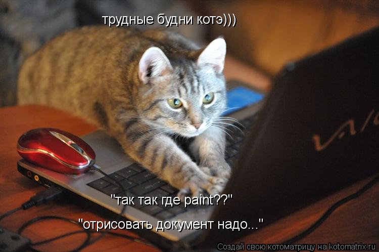 трудные будни котэ))) "так так где paint??" "отрисовать документ надо..."... Котоматрица: трудные будни котэ))) "так так где paint??" "отрисовать документ надо..."