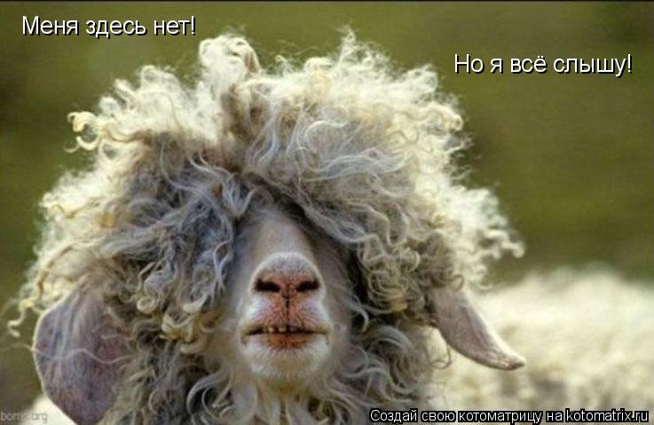 Меня здесь нет! Но я всё слышу!... Котоматрица: Меня здесь нет! Но я всё слышу!