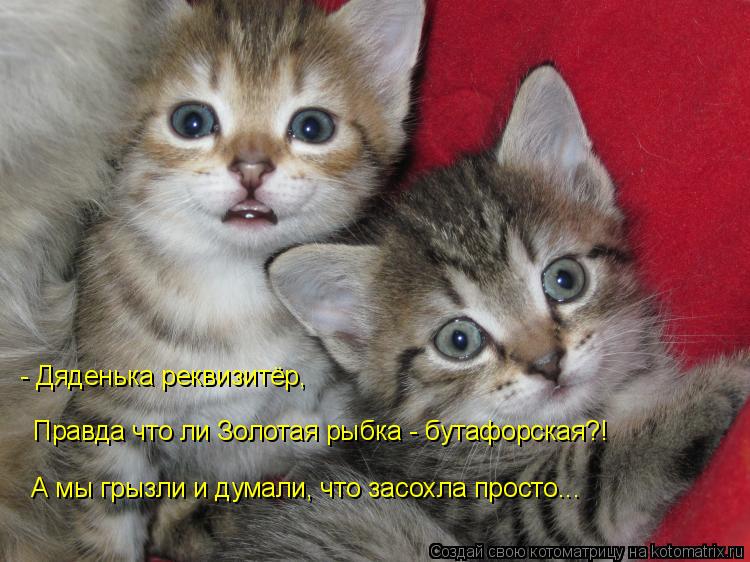 - Дяденька реквизитёр, Правда что ли Золотая рыбка - бутафорская?! А мы грызли и думали, что засохла... Котоматрица: - Дяденька реквизитёр, Правда что ли Золотая рыбка - бутафорская?! А мы грызли и думали, что засохла просто...