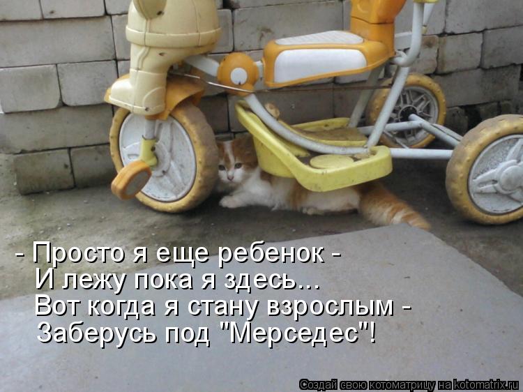 - Просто я еще ребенок - И лежу пока я здесь... Вот когда я стану взрослым - Заберусь под "Мерседес"... Котоматрица: - Просто я еще ребенок - И лежу пока я здесь... Вот когда я стану взрослым - Заберусь под "Мерседес"!