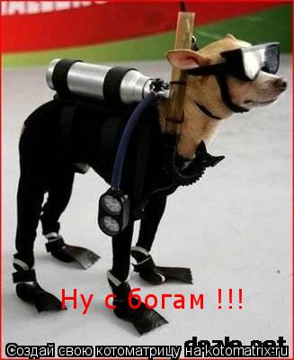 Ну с богам !!!... Котоматрица: Ну с богам !!!