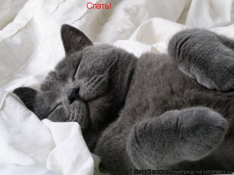Спать!... Котоматрица: Спать!