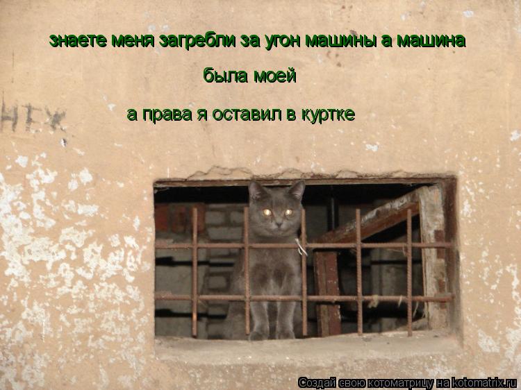 знаете меня загребли за угон машины а машина знаете меня загребли за угон машины а машина была мо... Котоматрица: знаете меня загребли за угон машины а машина знаете меня загребли за угон машины а машина была моей была моей а права я оставил в куртке
