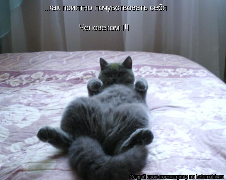 ..как приятно почувствовать себя Человеком.!!!... Котоматрица: ..как приятно почувствовать себя Человеком.!!!