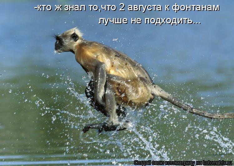 -кто ж знал то,что 2 августа к фонтанам лучше не подходить...... Котоматрица: -кто ж знал то,что 2 августа к фонтанам лучше не подходить...