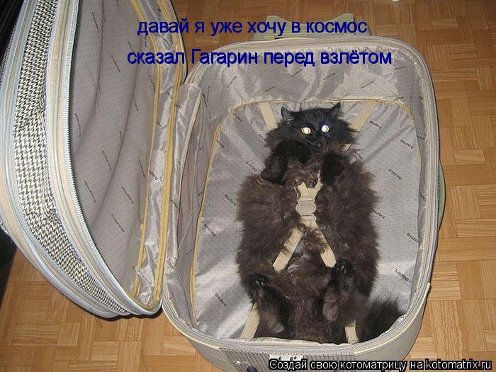 давай я уже хочу в космос давай я уже хочу в космос сказал Гагарин перед взлётом сказал Гагарин перед... Котоматрица: давай я уже хочу в космос давай я уже хочу в космос сказал Гагарин перед взлётом сказал Гагарин перед взлётом