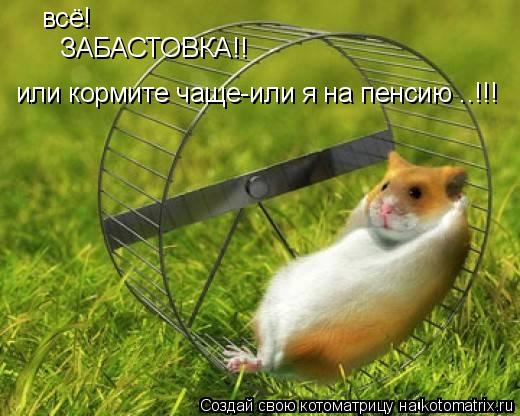 всё! ЗАБАСТОВКА!! или кормите чаще-или я на пенсию ..!!!... Котоматрица: всё! ЗАБАСТОВКА!! или кормите чаще-или я на пенсию ..!!!