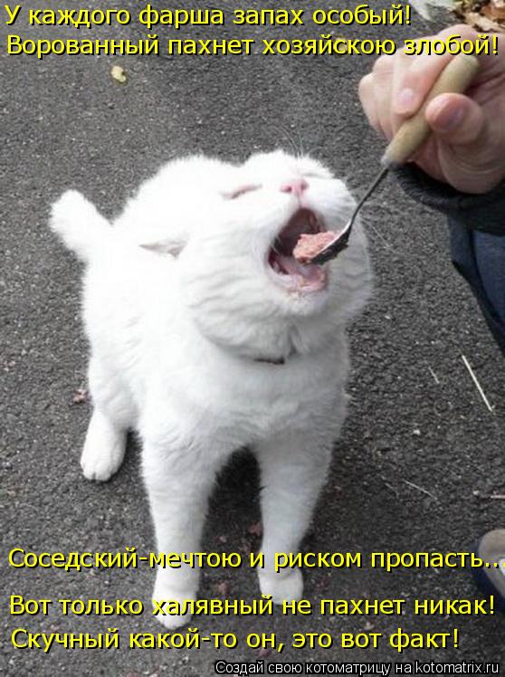 У каждого фарша запах особый! Ворованный пахнет хозяйскою злобой! Вот только халявный не пахнет никак... Котоматрица: У каждого фарша запах особый! Ворованный пахнет хозяйскою злобой! Вот только халявный не пахнет никак! Скучный какой-то он, это вот факт! Сос