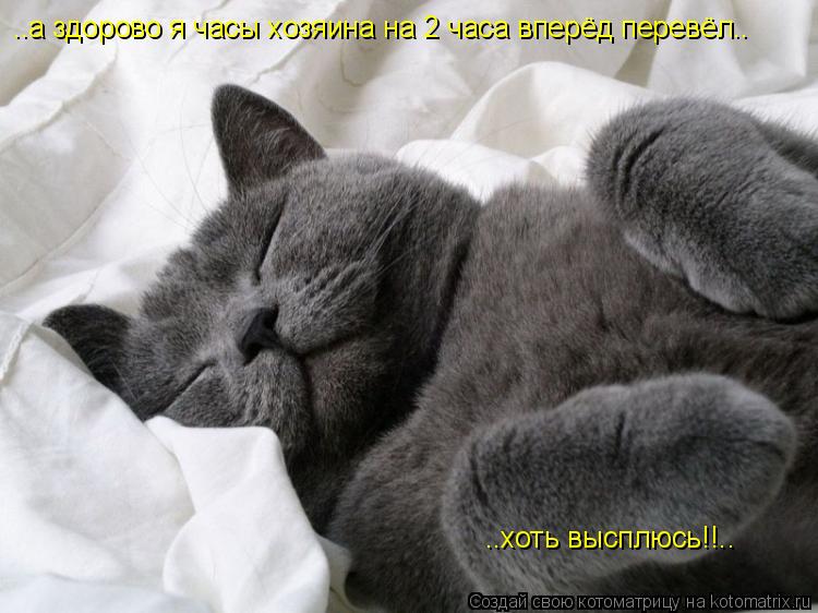 ..хоть высплюсь!!.. ..а здорово я часы хозяина на 2 часа вперёд перевёл..... Котоматрица: ..хоть высплюсь!!.. ..а здорово я часы хозяина на 2 часа вперёд перевёл..