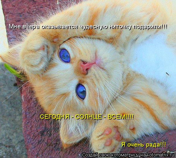 Мне вчера оказывается чудесную ниточку подарили!!! СЕГОДНЯ - СОЛНЦЕ - ВСЕМ!!!! Я очень рада!!!... Котоматрица: Мне вчера оказывается чудесную ниточку подарили!!! СЕГОДНЯ - СОЛНЦЕ - ВСЕМ!!!! Я очень рада!!!