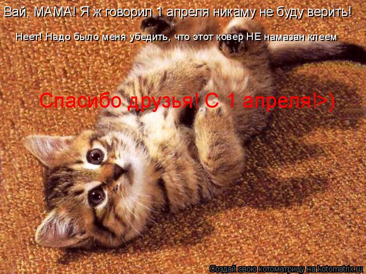 Неет! Надо было меня убедить, что этот ковер НЕ намазан клеем Вай, МАМА! Я ж говорил 1 апреля никаму ... Котоматрица: Неет! Надо было меня убедить, что этот ковер НЕ намазан клеем Вай, МАМА! Я ж говорил 1 апреля никаму не буду верить! Спасибо друзья! С 1 апреля!>