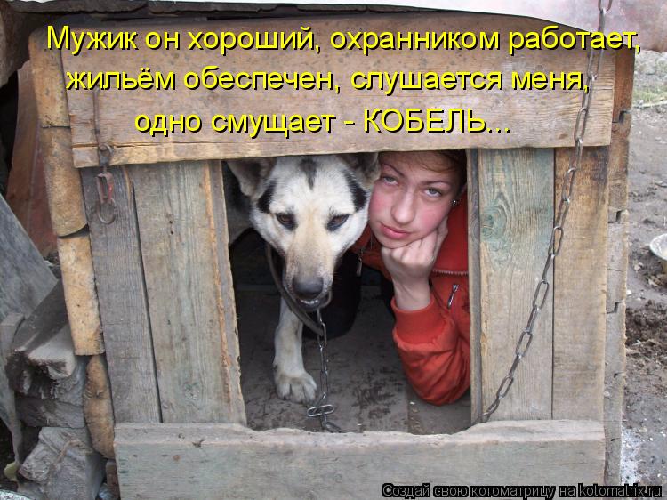 Мужик он хороший, охранником работает, жильём обеспечен, слушается меня, одно смущает - КОБЕЛЬ...... Котоматрица: Мужик он хороший, охранником работает, жильём обеспечен, слушается меня, одно смущает - КОБЕЛЬ...
