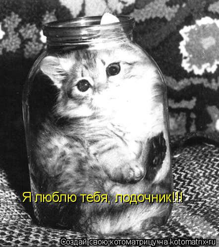 Я люблю тебя, лодочник!!!... Котоматрица: Я люблю тебя, лодочник!!!