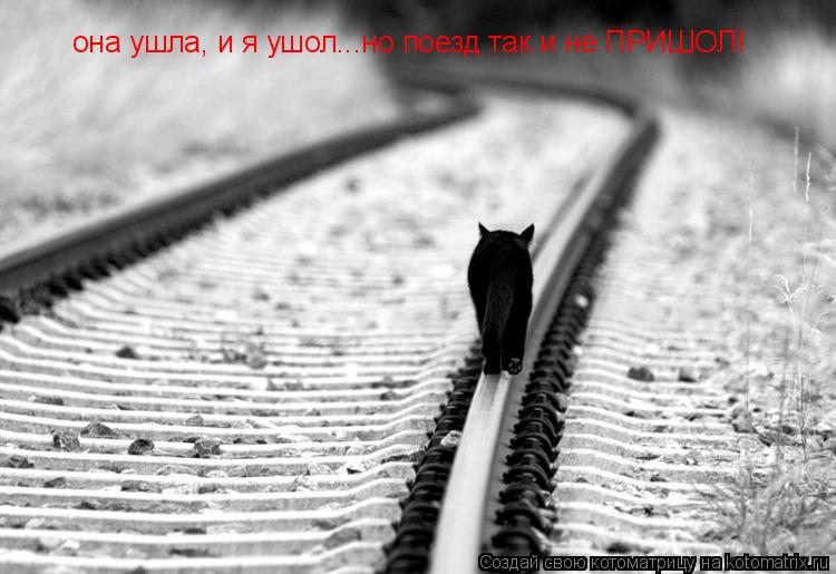 она ушла, и я ушол...но поезд так и не ПРИШОЛ!... Котоматрица: она ушла, и я ушол...но поезд так и не ПРИШОЛ!