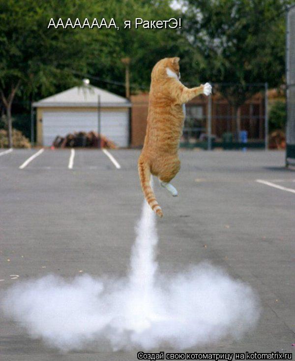 АААААААА, я РакетЭ!... Котоматрица: АААААААА, я РакетЭ!