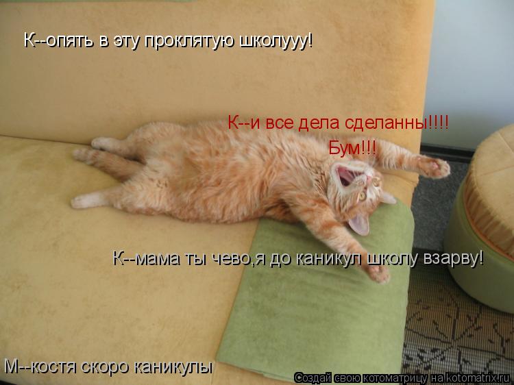 К--опять в эту проклятую школууу! М--костя скоро каникулы К--мама ты чево,я до каникул школу взарву! ... Котоматрица: К--опять в эту проклятую школууу! М--костя скоро каникулы К--мама ты чево,я до каникул школу взарву! Бум!!! К--и все дела сделанны!!!!