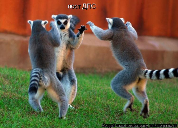 пост ДПС... Котоматрица: пост ДПС