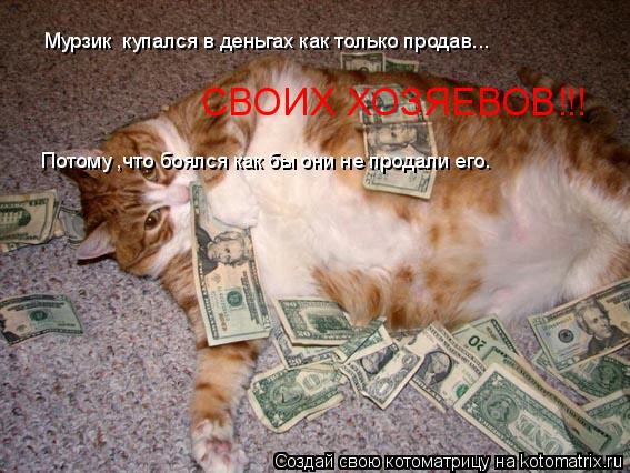 Мурзик купался в деньгах как только продав... СВОИХ ХОЗЯЕВОВ!!! Потому ,что боялся как бы они не про... Котоматрица: Мурзик купался в деньгах как только продав... СВОИХ ХОЗЯЕВОВ!!! Потому ,что боялся как бы они не продали его.
