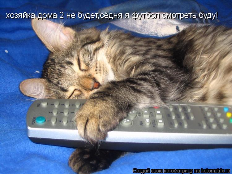 хозяйка дома 2 не будет,сёдня я футбол смотреть буду!... Котоматрица: хозяйка дома 2 не будет,сёдня я футбол смотреть буду!