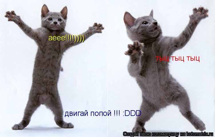 двигай попой !!! :DDD аеее!!!!)))) тыц тыц тыц... Котоматрица: двигай попой !!! :DDD аеее!!!!)))) тыц тыц тыц