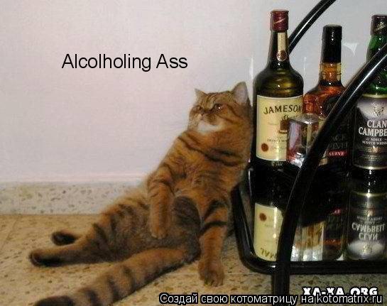 Alcolholing Ass... Котоматрица: Alcolholing Ass