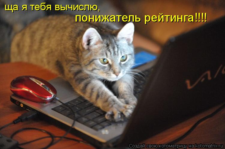ща я тебя вычислю, понижатель рейтинга!!!!... Котоматрица: ща я тебя вычислю, понижатель рейтинга!!!!